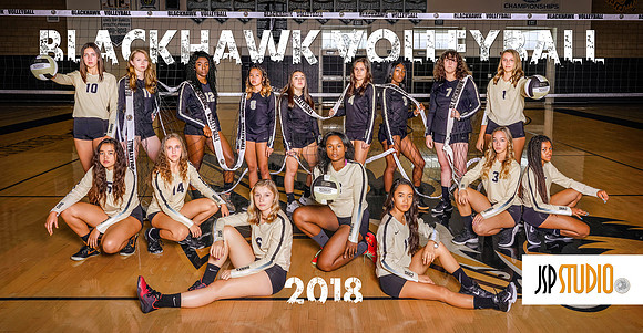 Custom Volleyball 2018
